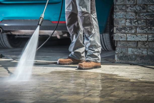 Best Spring Cleaning  in Mckeesport, PA